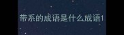 带系的成语是什么成语