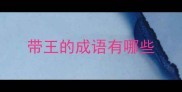 带王的成语有哪些