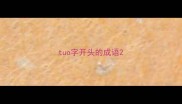 tuo字开头的成语