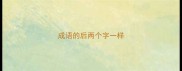 成语的后两个字一样