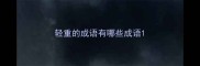 轻重的成语有哪些成语