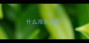 什么海北成语