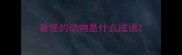 最怪的动物是什么成语