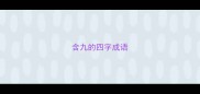 含九的四字成语