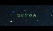 针的的成语