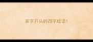 家字开头的四字成语