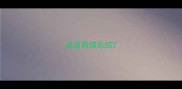 成语易错总结