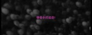 情侣伞打成语