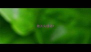 蔬开头成语