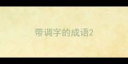 带调字的成语