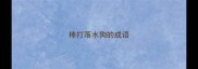 棒打落水狗的成语