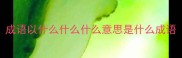 成语以什么什么什么意思是什么成语