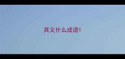 其义什么成语