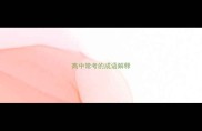 高中常考的成语解释