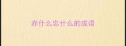 赤什么忠什么的成语