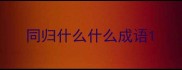 同归什么什么成语