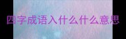 四字成语入什么什么意思