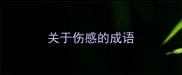 关于伤感的成语