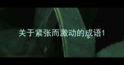 关于紧张而激动的成语