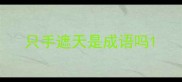 只手遮天是成语吗