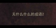 无什么什么的成语
