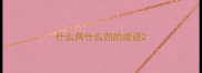 什么两什么四的成语