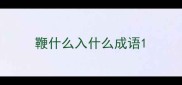 鞭什么入什么成语