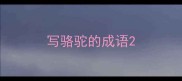 写骆驼的成语