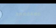 龙井成语有哪些