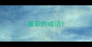 量职的成语