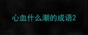 心血什么潮的成语