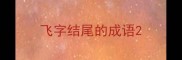 飞字结尾的成语