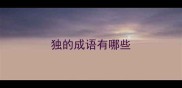 独的成语有哪些