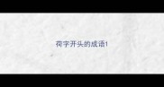 荷字开头的成语