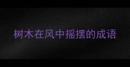 树木在风中摇摆的成语