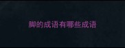 脚的成语有哪些成语