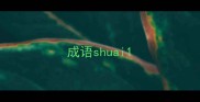 成语shuai