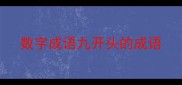 数字成语九开头的成语