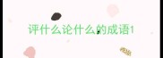 评什么论什么的成语