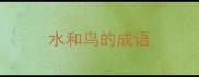 水和鸟的成语