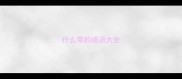 什么带的成语大全