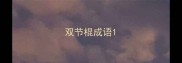 双节棍成语
