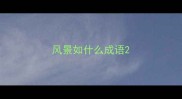 风景如什么成语
