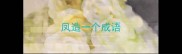 凤造一个成语