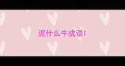 泥什么牛成语