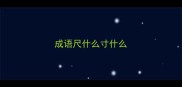 成语尺什么寸什么
