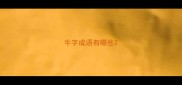 牛字成语有哪些