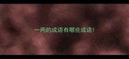 一两的成语有哪些成语