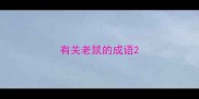有关老鼠的成语