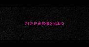 形容兄弟感情的成语